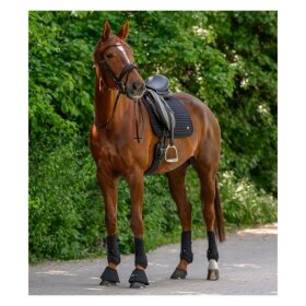 Waldhausen - Trinidad dressur underlag