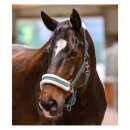 Waldhausen - Elegant grime Waldhausen - Elegant grime