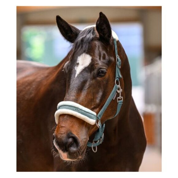 Waldhausen - Elegant grime