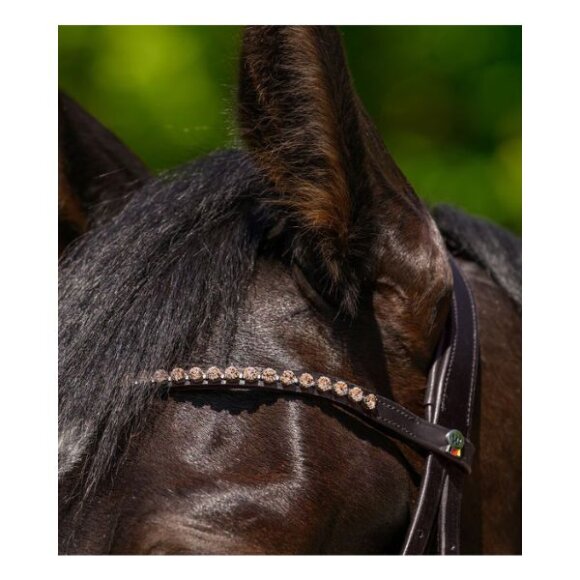 Waldhausen - X-line browband glam