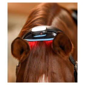 Waldhausen - Infrared FlexPad