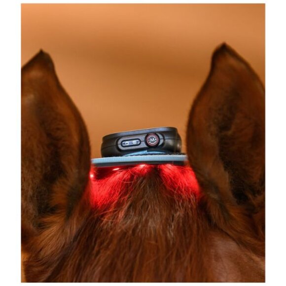 Waldhausen - Infrared FlexPad