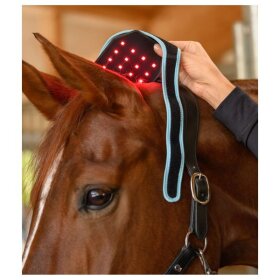 Waldhausen - Infrared FlexPad