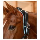 Waldhausen - Infrared FlexPad Waldhausen - Infrared FlexPad