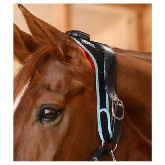 Waldhausen - Infrared FlexPad