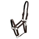 HorseGuard - Sandra grime