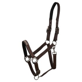 HorseGuard - Sandra grime