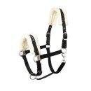 Horze - Howard grime 