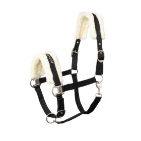 Horze - Howard grime 