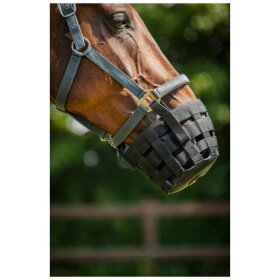 HorseGuard - Mundkurv til grime