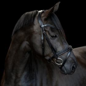 Catago - Torina trense