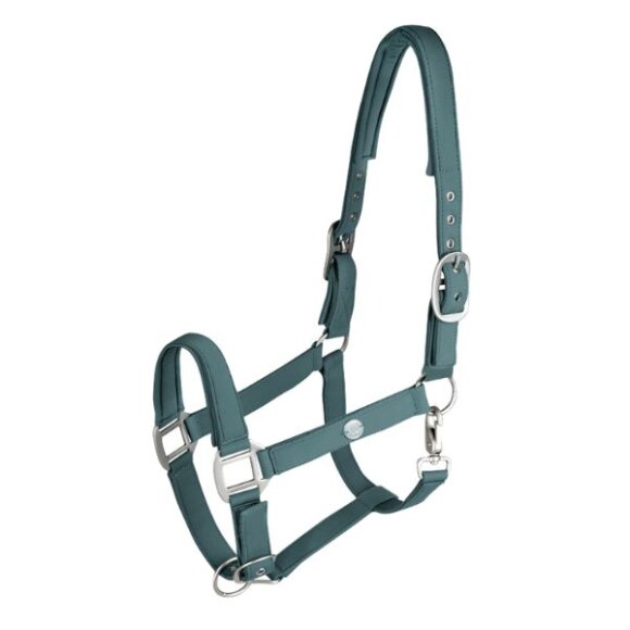 Waldhausen - Trinidad grime