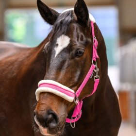 Waldhausen - Elegant grime