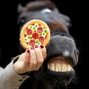 Candy Horse - Pizza cookie