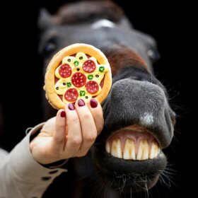Candy Horse - Pizza cookie
