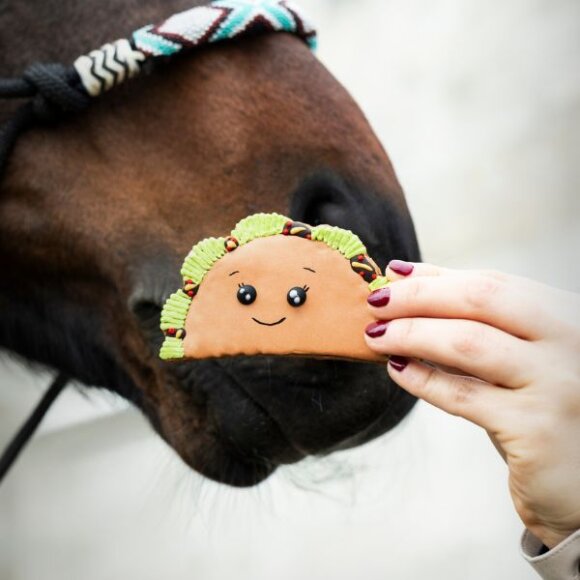 Candy Horse - Taco cookie