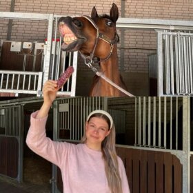 Candy Horse - Eclair Cornflower mix