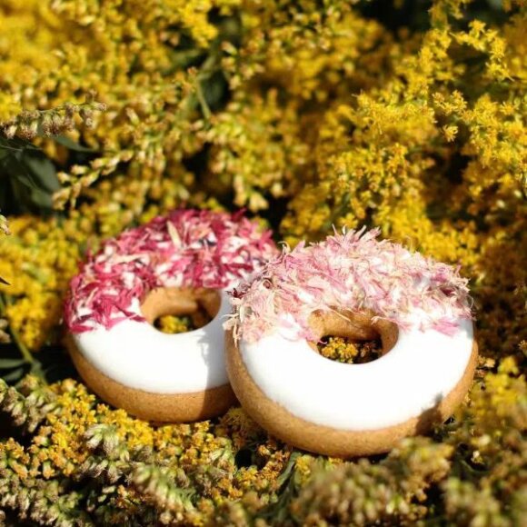 Candy Horse - Donuts Pink cornflower