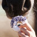 Candy Horse - Donuts wildrose/cornflower