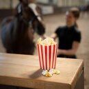 Candy Horse - Sweet popcorn