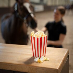 Candy Horse - Sweet popcorn
