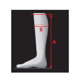 Xena tall boots