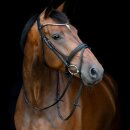 HorseGuard - Emi 26.1 trense m. kombi næsebånd