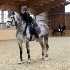 Horze - Adepto dressurunderlag Horze - Adepto dressurunderlag