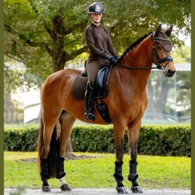 LeMieux - Brilliance square dressurunderlag