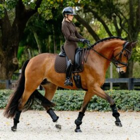 LeMieux - Brilliance square dressurunderlag