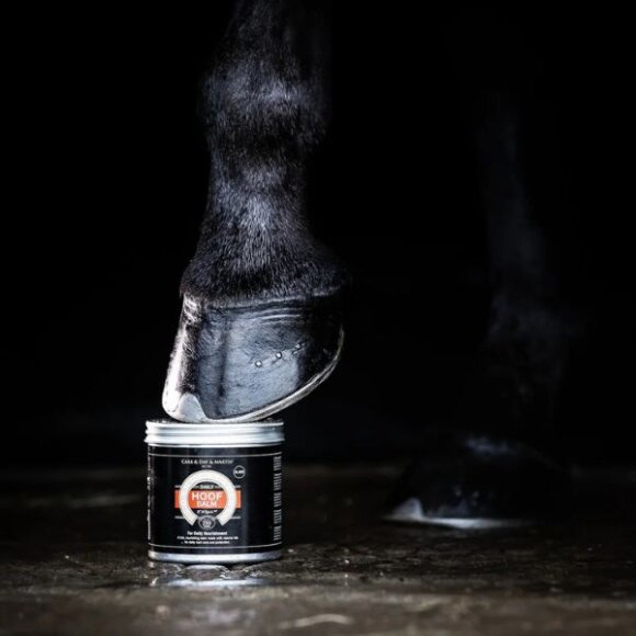 Carr Day Martin - Daily hoof balm black 500 ml