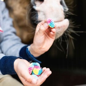 Candy Horse - Heste kyskager godbidder Candy Horse - Heste kyskager godbidder