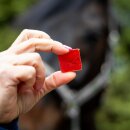 Candy Horse - Frugt vingummi til hest 300 g