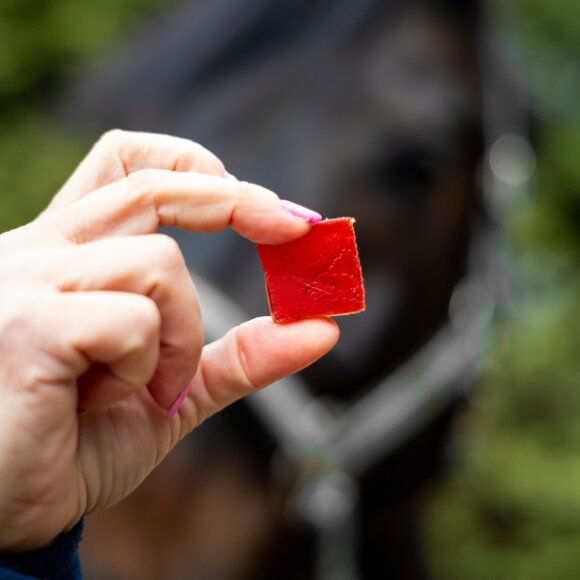 Candy Horse - Frugt vingummi til hest 300 g