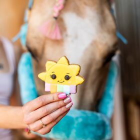 Candy Horse - Sol Cookies 