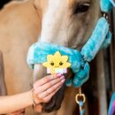 Candy Horse - Sol Cookies Candy Horse - Sol Cookies