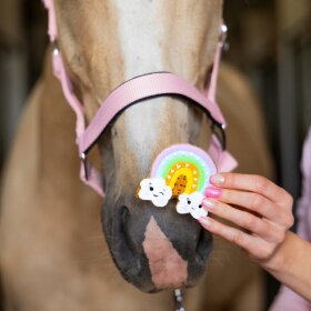 Candy Horse - Regnbue Cookies 