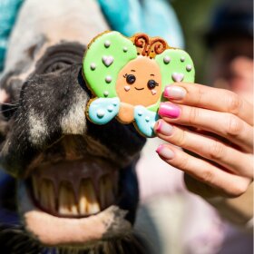 Candy Horse - Sommerfugl Cookies 
