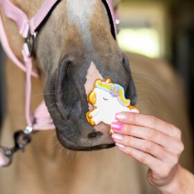 Candy Horse - Unicorn Cookies 