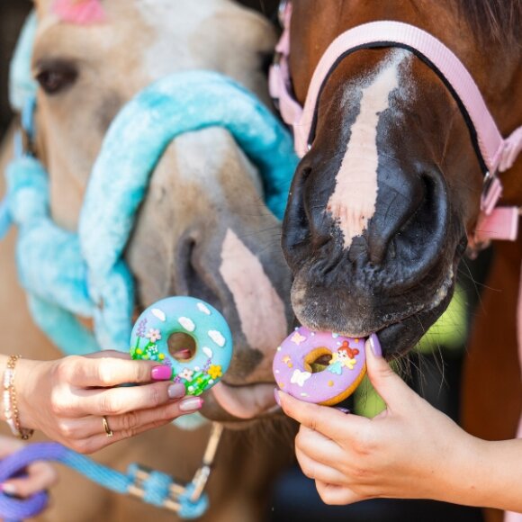 Candy Horse - Sommer donuts 
