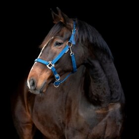 HorseGuard - Malva grime
