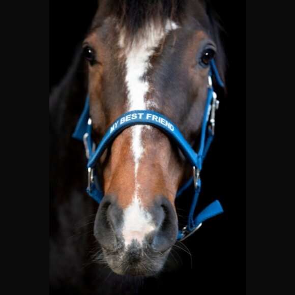 HorseGuard - Malva grime