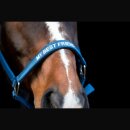 HorseGuard - Malva grime HorseGuard - Malva grime