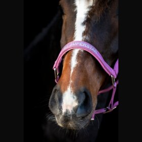 HorseGuard - Malva grime