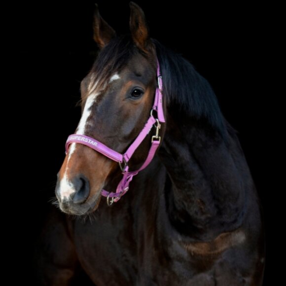 HorseGuard - Malva grime