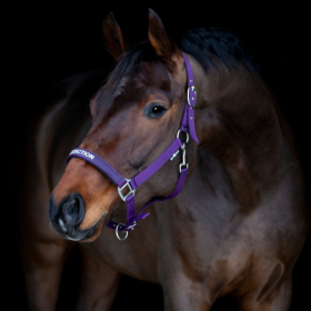 HorseGuard - Malva grime