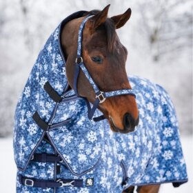 HorseGuard - Snowflake grime