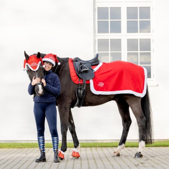 HorseGuard - Jule lændedækken