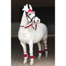 HorseGuard - Julegamacher