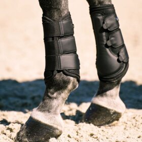 Imperial Riding - Cloud danser dressur gamacher